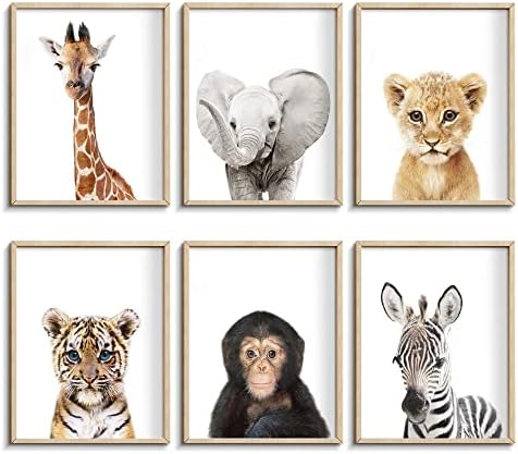 Set of 6 Baby Safari Nursery Wall Decor styled on a wall at home